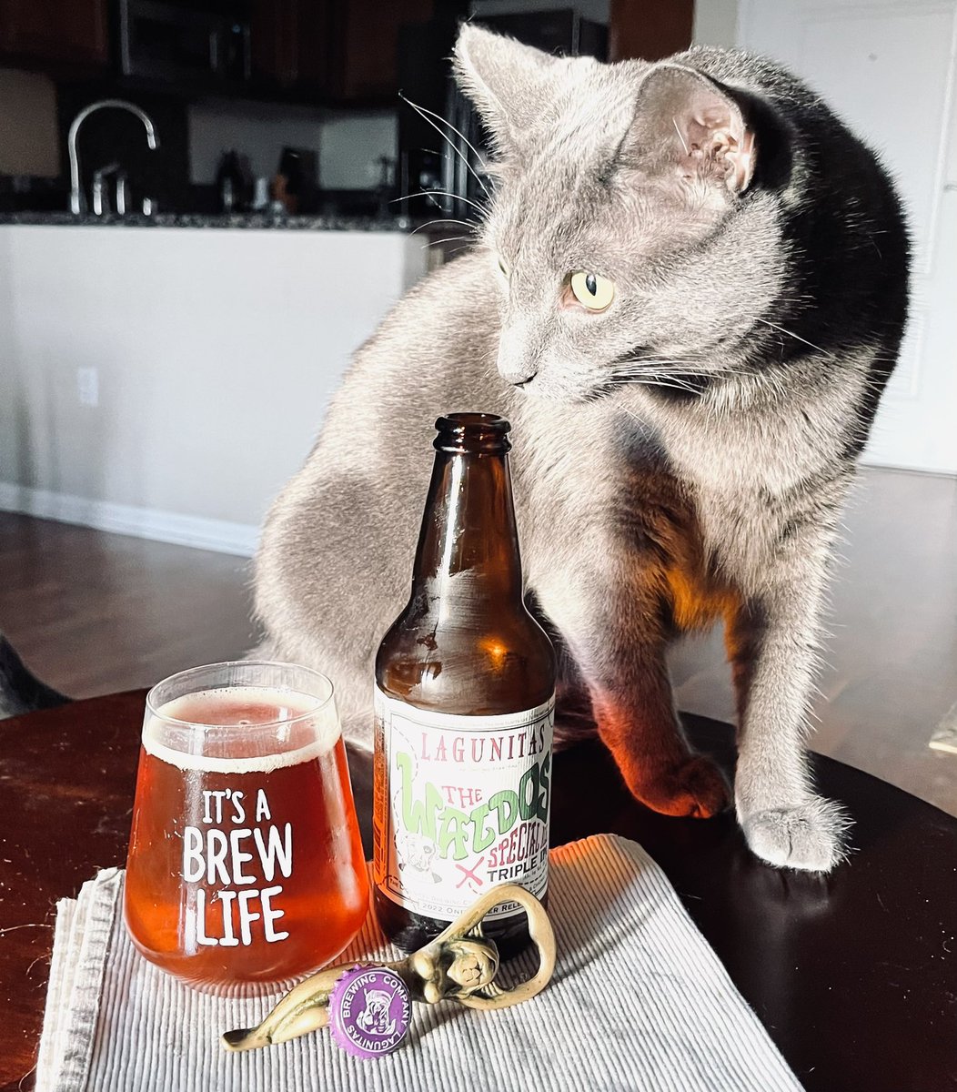 RJellyman's tweet photo. Rd 5 #TopBrewsTues #10PercentTuesday with @lagunitasbeer The Waldos’
#Artemis big time involved. That said, #beercats rock. @JohanBBT @cellmavin @ManvsAle @JonMontag @TammyJaben @badhopper @Stef_Pellerin @ManvsAle @RealBMaxwell @beerhunter74 @Senor_Greezy https://t.co/6Lappc7Sbb