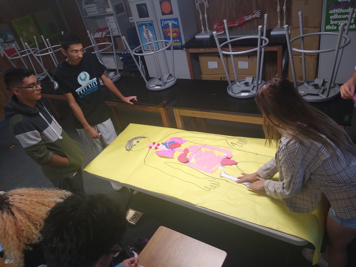 OrdonezMs's tweet photo. Anatomy and Physiology students presenting their research on the main body systems using a model patient they named "Bob". #Teamsisd #PhoenixFamily @missionechs @MECollege_HS https://t.co/D8qv4rxNkr