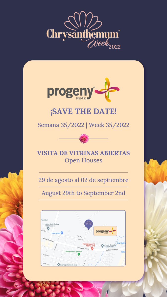Progeny_Breeding (@ProgenyBreeding) / Posts / X