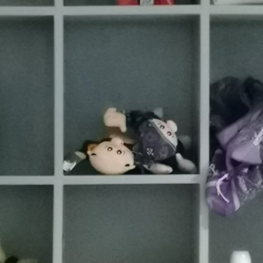 PublimetroMX's tweet photo. Por primera vez confiscan peluches del Dr. Simi en un show.

Previo al concierto de Big Time Rush en Jalisco, se les pidió a los fans dejar los tan populares peluches en el área de paquetería para evitar que sean lanzados al escenario.

📸: @gacosta13 https://t.co/2bdZQKT4bh