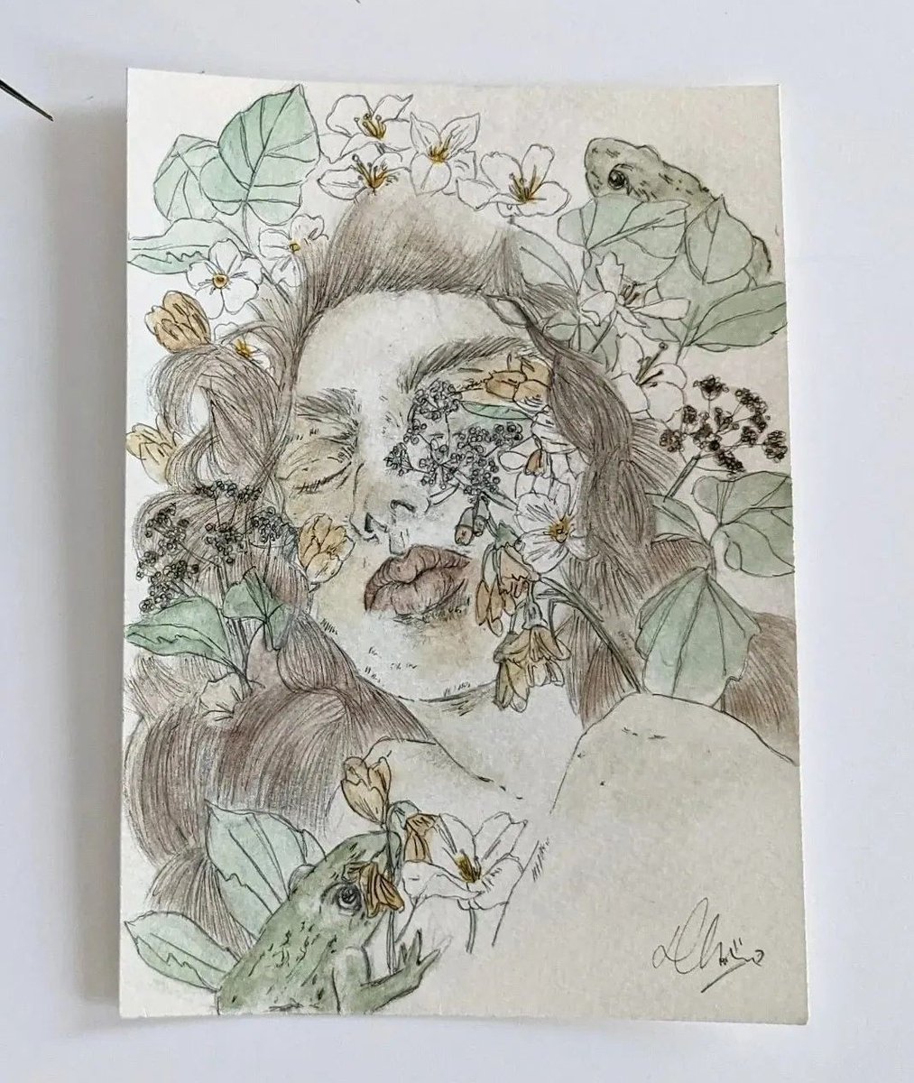 Manifest for these to find homes ☁️