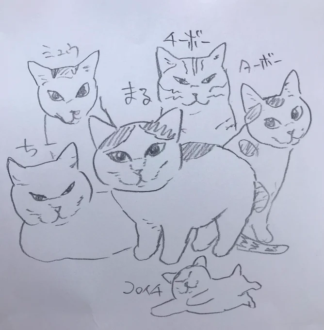 毎日更新1600日に到達しました。これまで数多くの猫と出会い別れ、別れの度に心と身体が分離し、拭う手すら伝って落ちる涙を「これ何だ?」と空虚な脳内で分析したものです。
これは猫達の魂が自分の中に入る為に押し出したのかも知れない、なんて。
再会したい想いが原動力。 