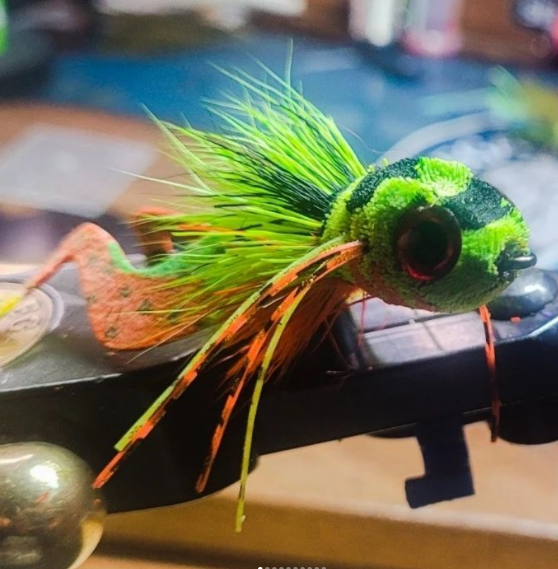 SnowbeeUSA's tweet photo. Great Frog, Nice Spun Hair Job
@maldo_goosekilla67
Getting a Little Creative with the Bass Frogs this morning before heading to the 3D Archery Club to shoot. #umpquafeathermerchants #semperfli #ahrexhooks #regalvise #bassonthefly #looparmy https://t.co/Drr0WzvlDI
