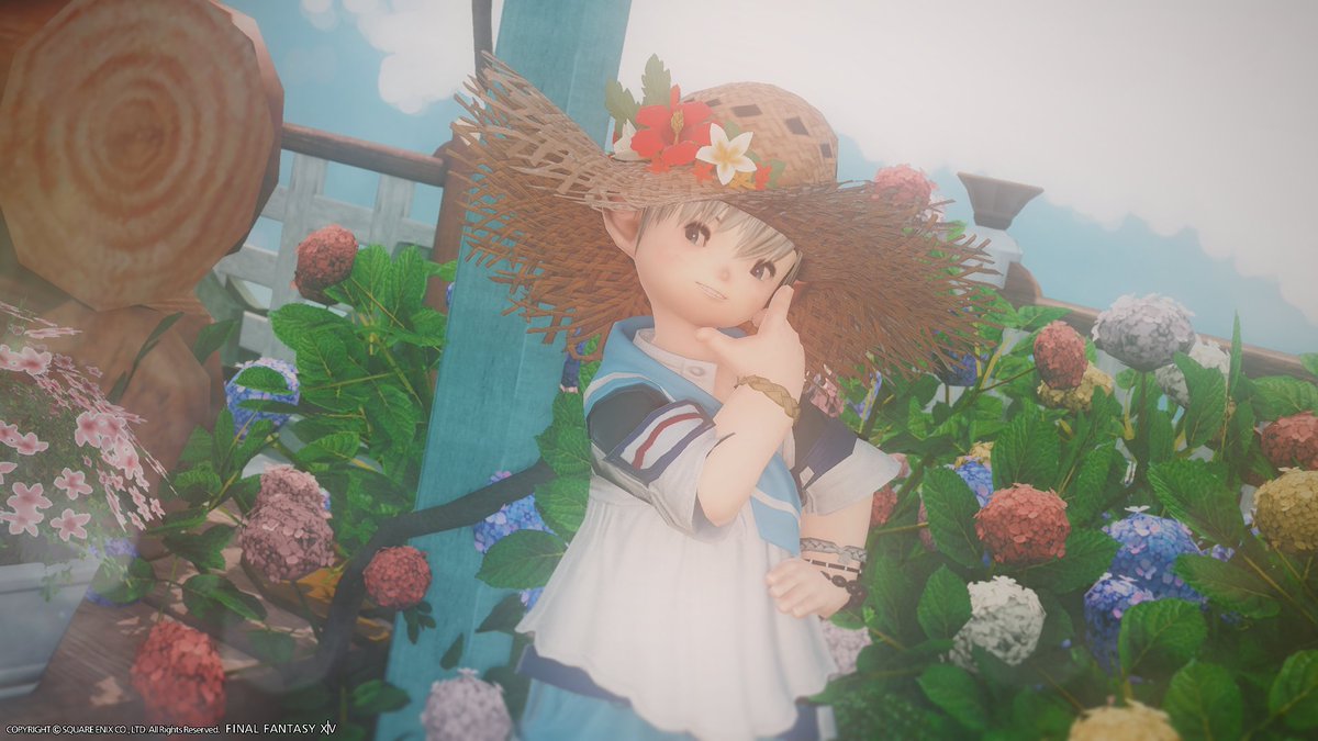 hat straw hat 1girl outdoors solo flower beach  illustration images