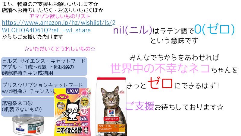 石川猫カフェ Twitter Search Twitter