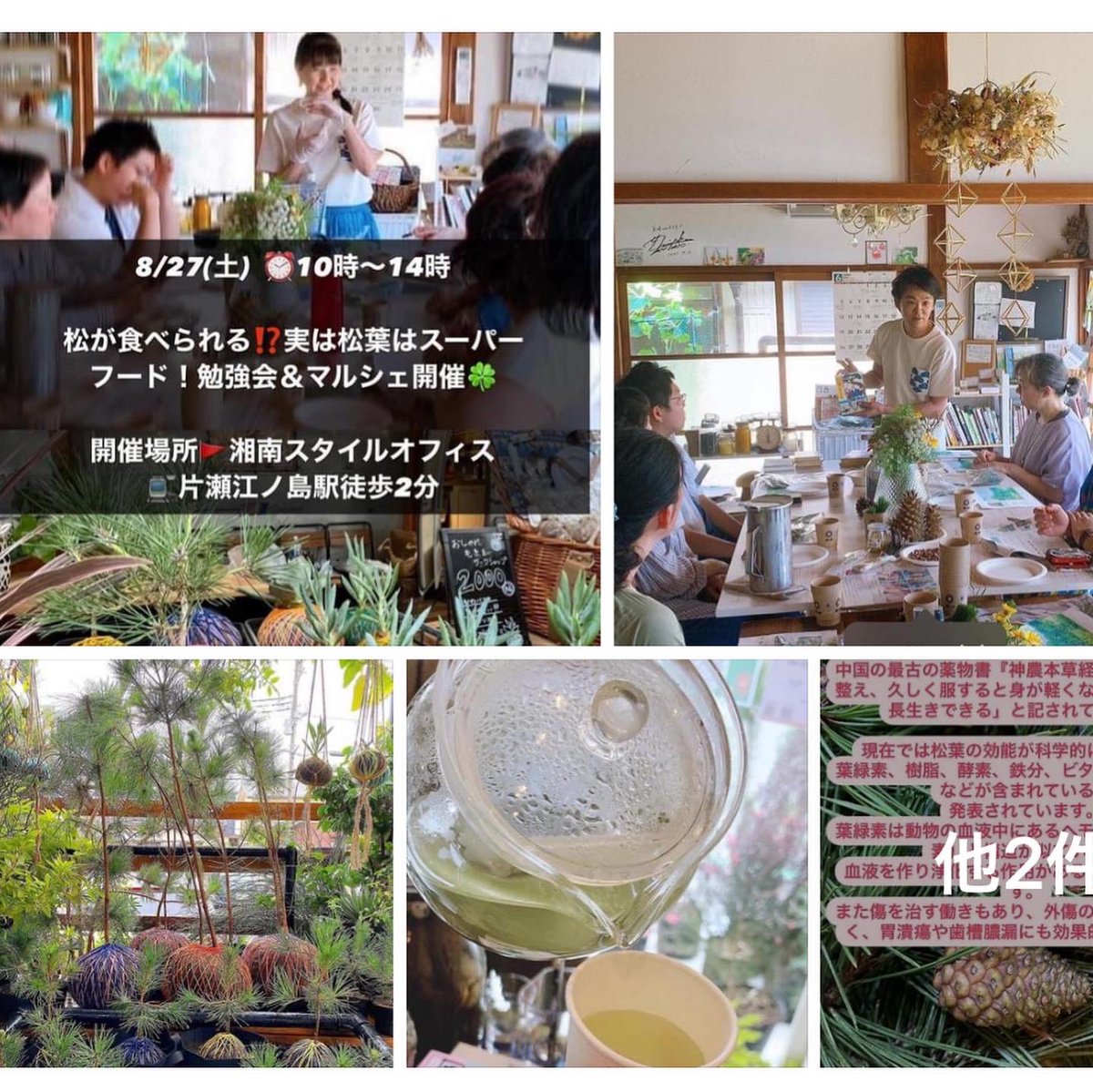 お松を愛する会 松葉健康法 松葉茶 松葉ジュース 不老長寿 Omatsu Club Twitter