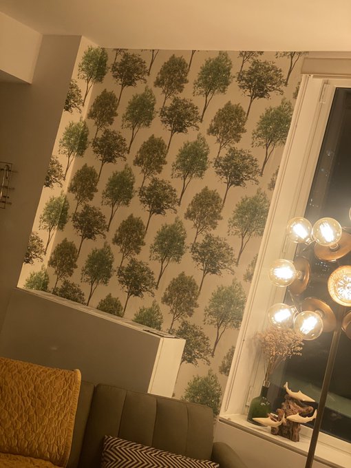 Non peel and stick wallpaper. Hate. But&hellip;hung and done. https://t.co/c6xniAaqnk<a href="/tag/amurderedheart"class="tags"><span>#amurderedheart</span></a>