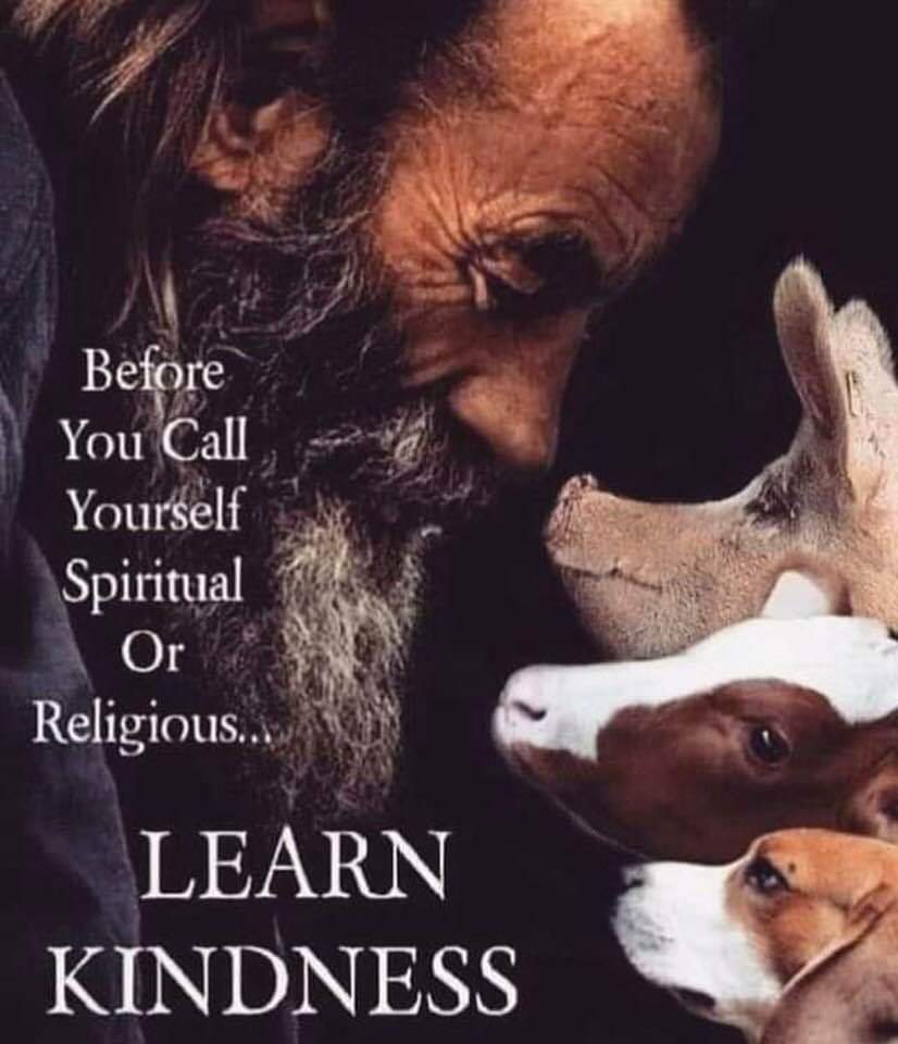 angie_karan's tweet photo. Profound!!
           🙏🏻🐾♡♡ https://t.co/ROeet1ewOP