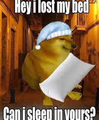 RerirHerlaSigi's tweet photo. Good Night #DogeAmry ๐๐ https://t.co/nYkTI9NFTZ