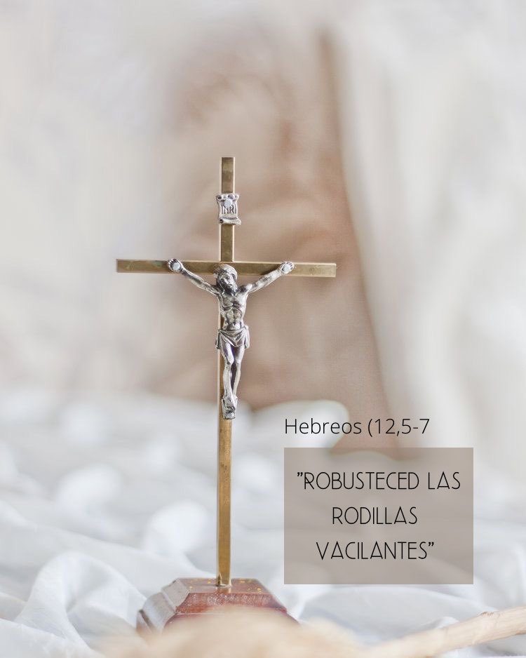 corazon_orante's tweet photo. “Las batallas se ganan de rodillas” 🧡 https://t.co/ReXNZJDGAm