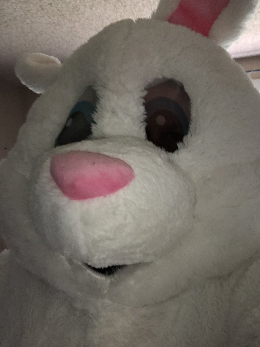 SuitSentient's tweet photo. #HowNotToBeSexy Don't try to rock a bunny costume if you can't pull it off. https://t.co/pVq5dzQZ9E