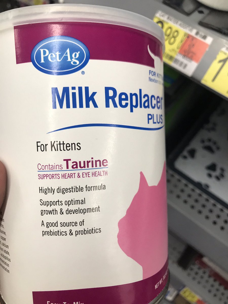 nsc_ronan's tweet photo. You’re telling me I can give a kitten Red Bull https://t.co/XckXZGl0TQ