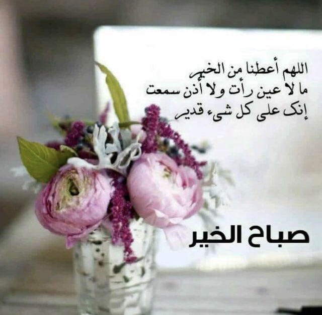 jamal49m's tweet photo. صباح الخير 🌞 https://t.co/se5Gm22VIJ