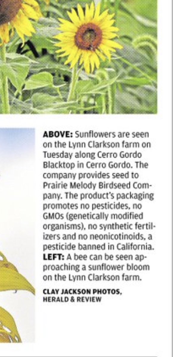 LanceMuirheid's tweet photo. Do the birds know they’re organic or do I need to slap a label on my bird feeder and charge them 68% more for the same product? https://t.co/4iwDwKIYTI
