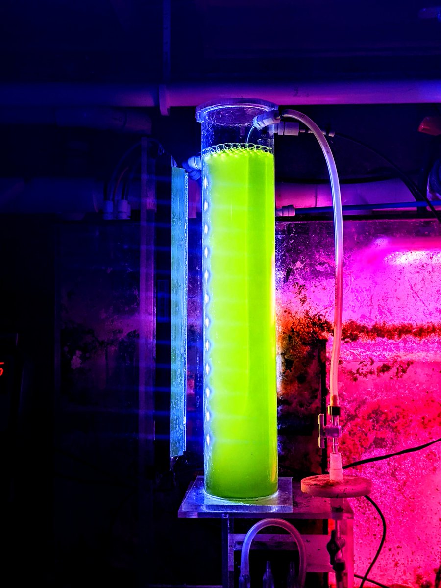 joe vallino ∫🦠dxdt ≻∫🔥dxdt tweet media