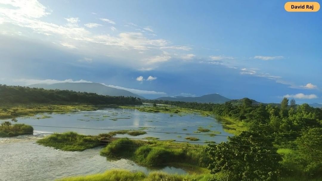 Praveen_nature's tweet photo. #Bbcphotography #Nature #Naturelover #NaturePhotography #NatureBeauty #Beautiful @bbcnewstelugu @incredibleindia https://t.co/YUa1lJ7DgR