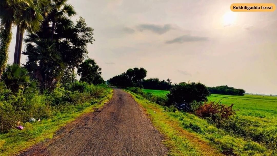 Praveen_nature's tweet photo. #Bbcphotography #Nature #Naturelover #NaturePhotography #NatureBeauty #Beautiful @bbcnewstelugu @incredibleindia https://t.co/YUa1lJ7DgR