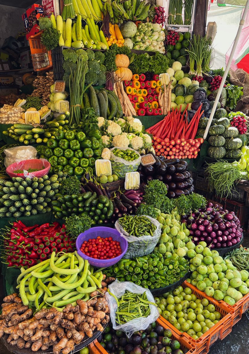 tarug60's tweet photo. Team #Veggies 😊 https://t.co/v907Lev9JV