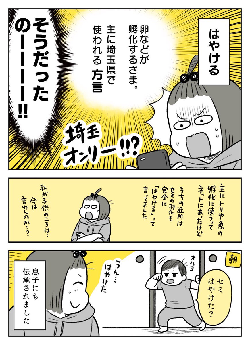 そしておまけ 方言だったとは…… 