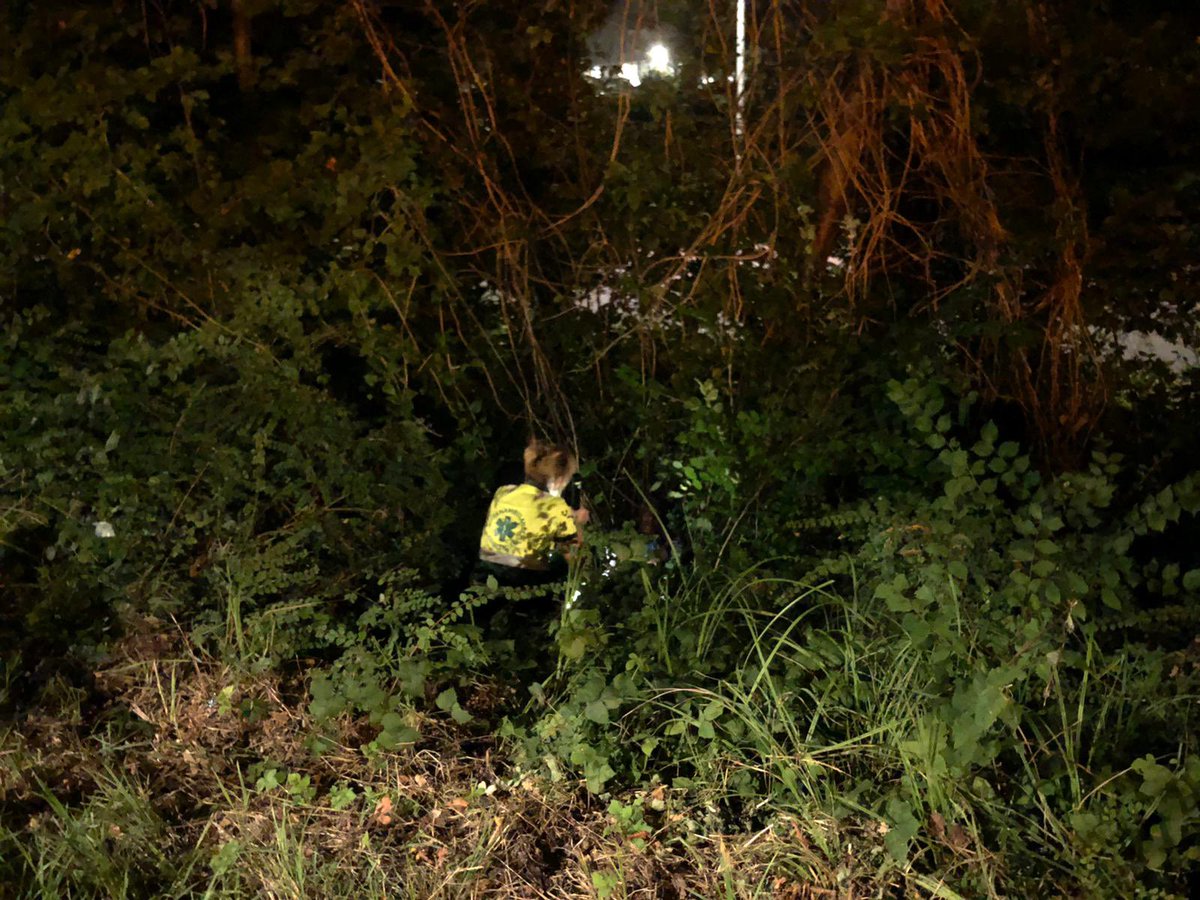 Dierenambulance Amsterdam tweet media