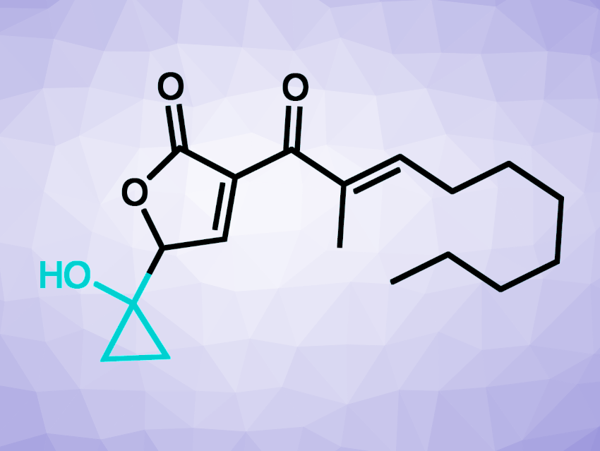 Understanding How Pathogenic Bacteria Build Their Virulence Factors: Formation of crucial cyclopropanol group in malleicyprols investigated bit.ly/3AShoQ9