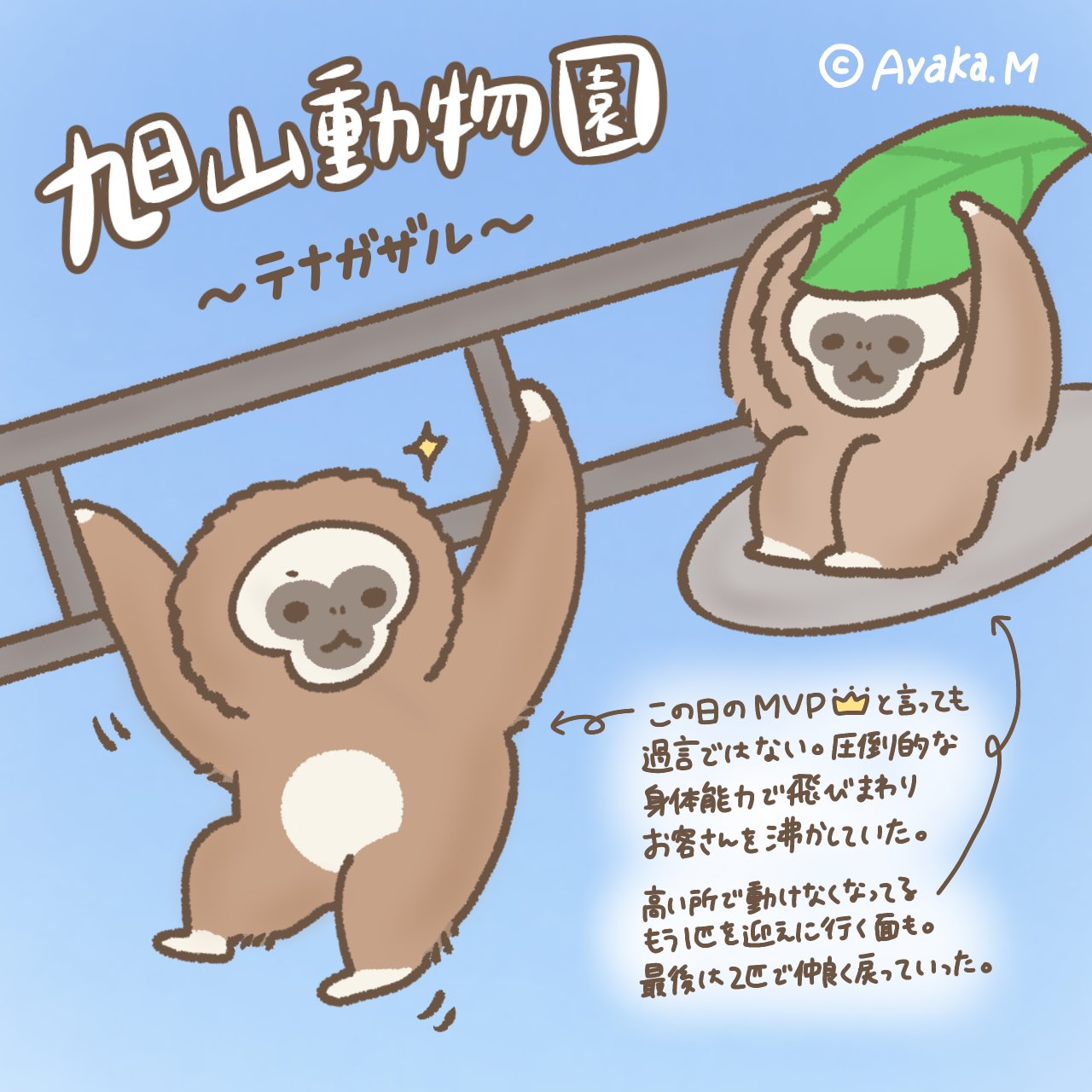テナガザル Twitter Search Twitter