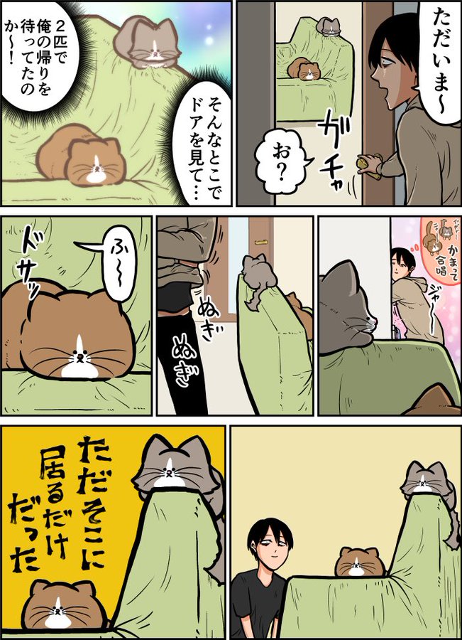 ウッドブック ビックリフィッシュウッドブック