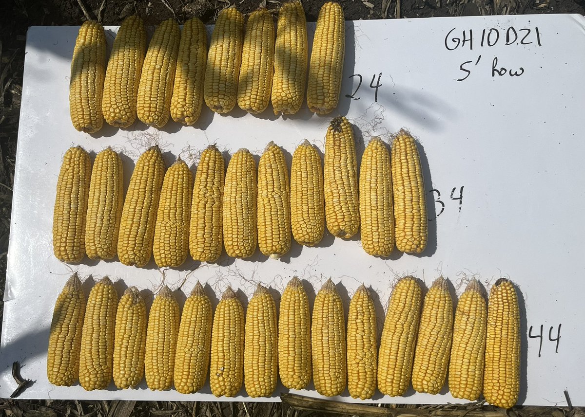 JustinAllaman's tweet image. Maxscript = planting the right population for the right hybrid. With our #GHX model, increasing population for numbers like 10D21 doesn’t come with additional seed cost. #goldenharvest #maxscript