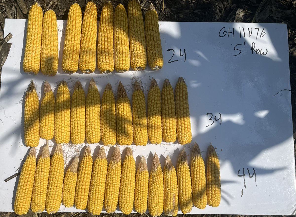 JustinAllaman's tweet image. Maxscript = planting the right population for the right hybrid. With our #GHX model, increasing population for numbers like 10D21 doesn’t come with additional seed cost. #goldenharvest #maxscript