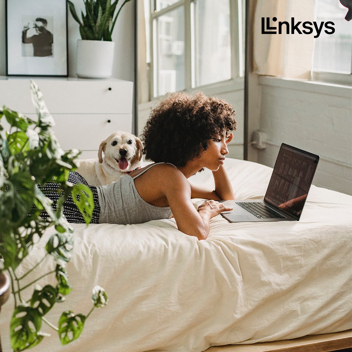 Di kamar, di ruang tamu, bahkan di dapur sekali pun, kamu tidak perlu khawatir saat bekerja di rumah kalau sinyal WiFi-nya kencang dan merata.

#Linksys #LinksysID #LinksysIndonesia
