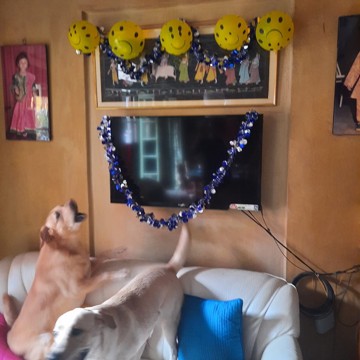 RionaBasu's tweet photo. @ThePhDPlace Simba and Barfi 😃 https://t.co/91ANQOFWRC