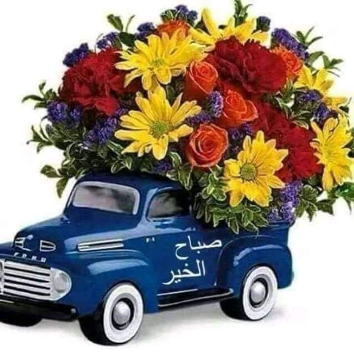 HaraAhmad96's tweet photo. سَتأتيك الأُمنِيات مِثلما يأتي الصَباح وتنجلي أحزانُك ڪما حدث مع الليل فقط ڪن متفائِلاً...
#صباح_الخيرᅠ https://t.co/luLQgQSH4G