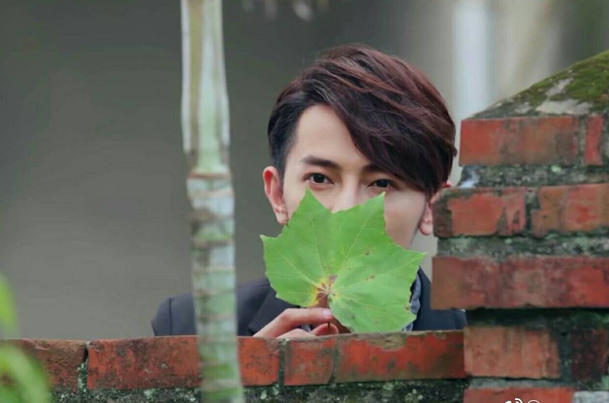 jiroupdates's tweet photo. happy birthday to the ultimate boss jiro wang! https://t.co/l57PdqeOyL