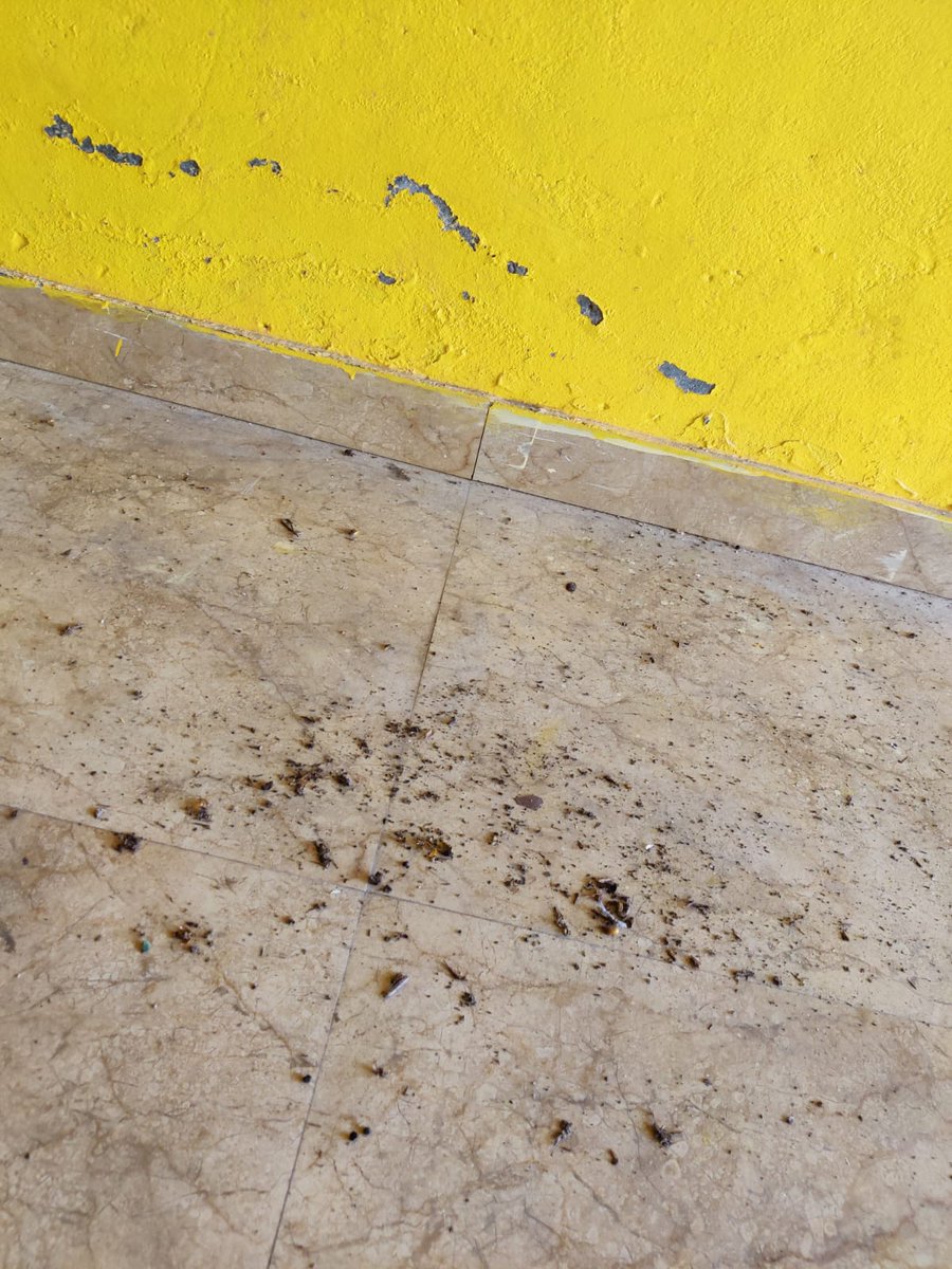 cherub_madaan's tweet photo. 1/2 Hi @agoda this is in reference to booking ID 749355857 for which I raised a complaint related to sanitization and functionalities missing and you promised a resolution under 48 hours. It's been more than 10 days and there's still no resolution. https://t.co/mIJXP2YkzE