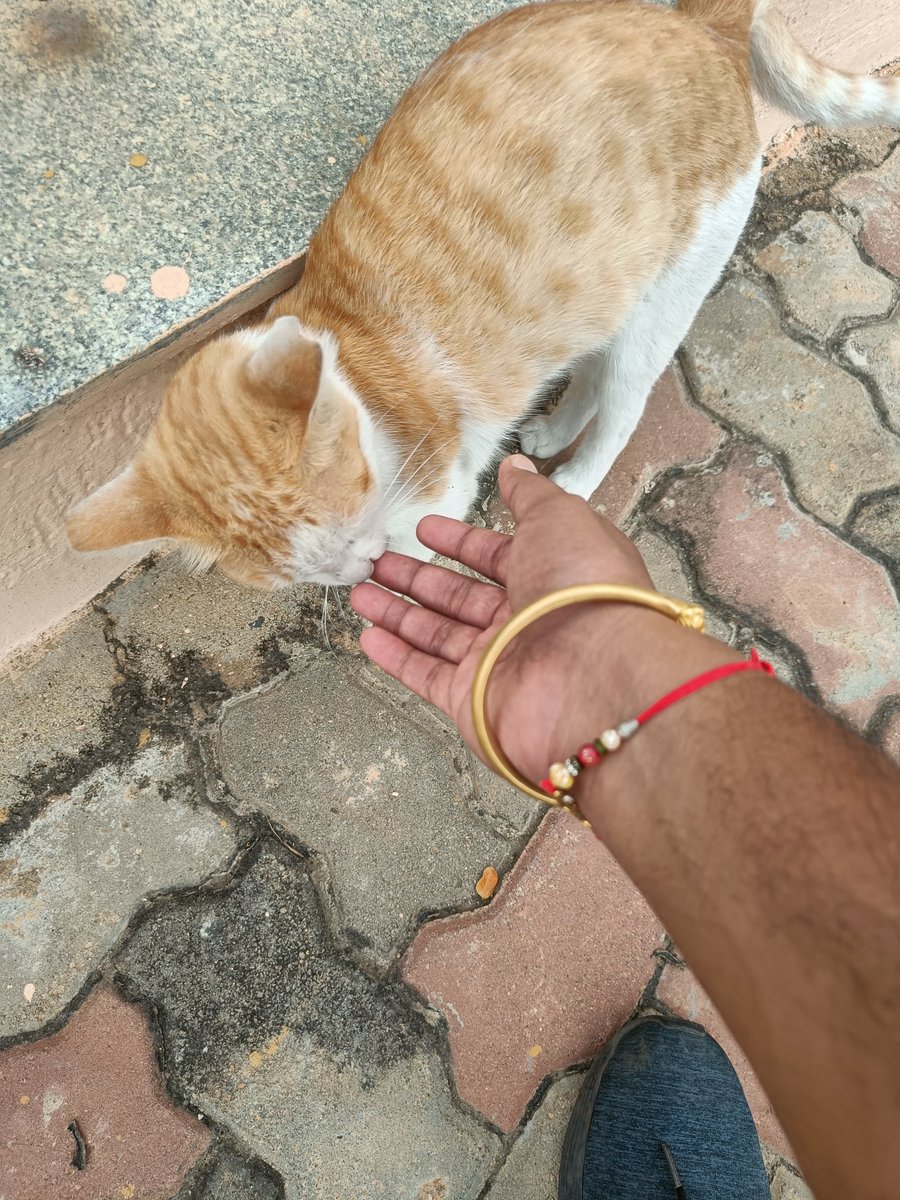 anchitkr's tweet photo. @ur_ishanii Clicked today morning! https://t.co/iRzQE4U9Wg