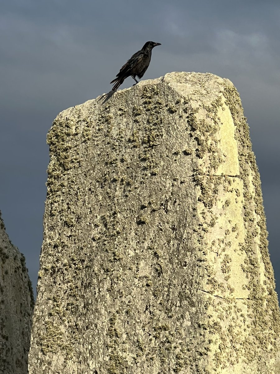 Sunrise at Stonehenge today (24th August) was at 6.07am sunset is at 8.10pm 🌨