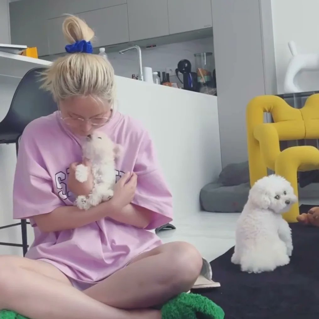 BraveGirls_gifs's tweet photo. Even Brave Doggos give us good memes @nyong2ya 

#얌얌 #yamyam #doglovers #minyoung #bravegirls #bravedoggos #브레이브걸스 https://t.co/O5UpucmgUv