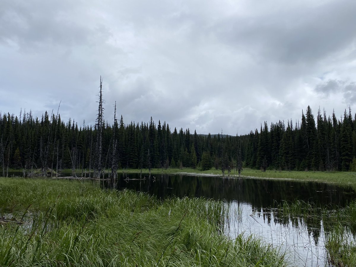 ChloeLochansky's tweet photo. A few of the places fieldwork has brought me during the last month. https://t.co/GDNcCUBxbU