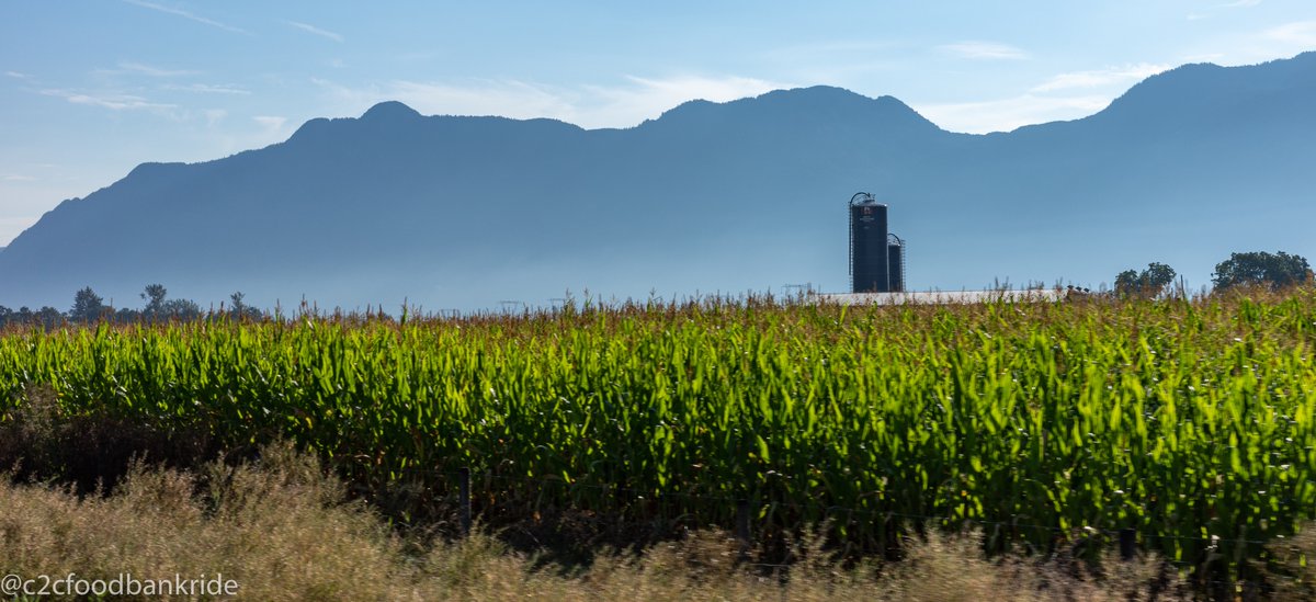 c2cfoodbankride's tweet photo. From the plains of the Fraser River to the Okanagan Valley the agriculture landscape changes almost as rapidly as the elevations.

#fromtheroad #onboardphotographer  #thisisour🇨🇦 https://t.co/sYmsxdMsy3