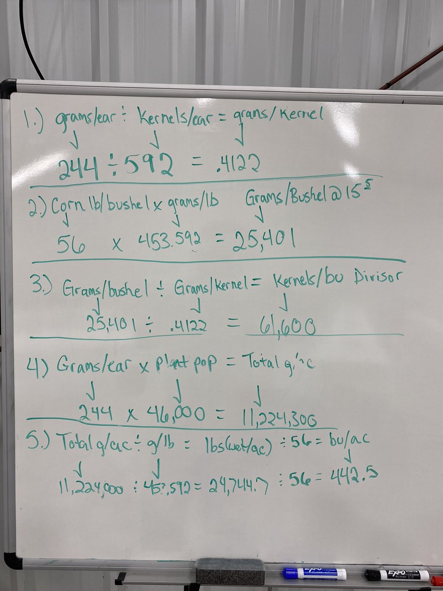bandedagllc's tweet photo. Since everyone is out checking corn now and seeing what they have, here is an example I did awhile back for a meeting to show how I come up with some of the yields when discussing with growers. Scales need to be accurate for ear weights (shelled, no cob)… https://t.co/9yqxPsz8eR