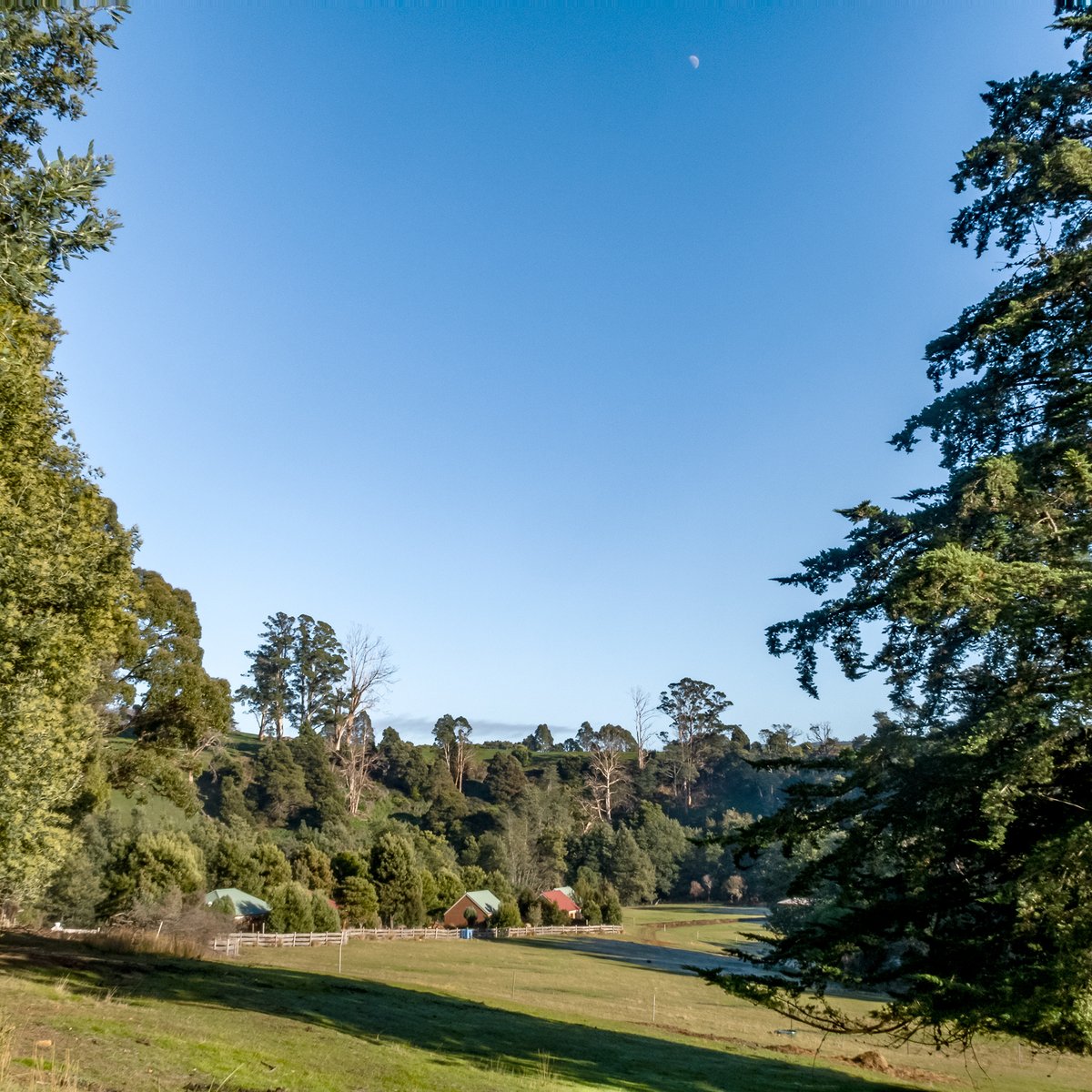 TinDTC's tweet photo. Bright, deep blue, moon out, frost in the shadows - I love a winter's morning at Tin Dragon Cottages. The day is full of promise: bush walks, mountain biking, visit wineries, sit on the river bank...enjoy the sun on your face. #tindragoncottages #northeasttasmania #Branxholm https://t.co/AYoJVKgMo8