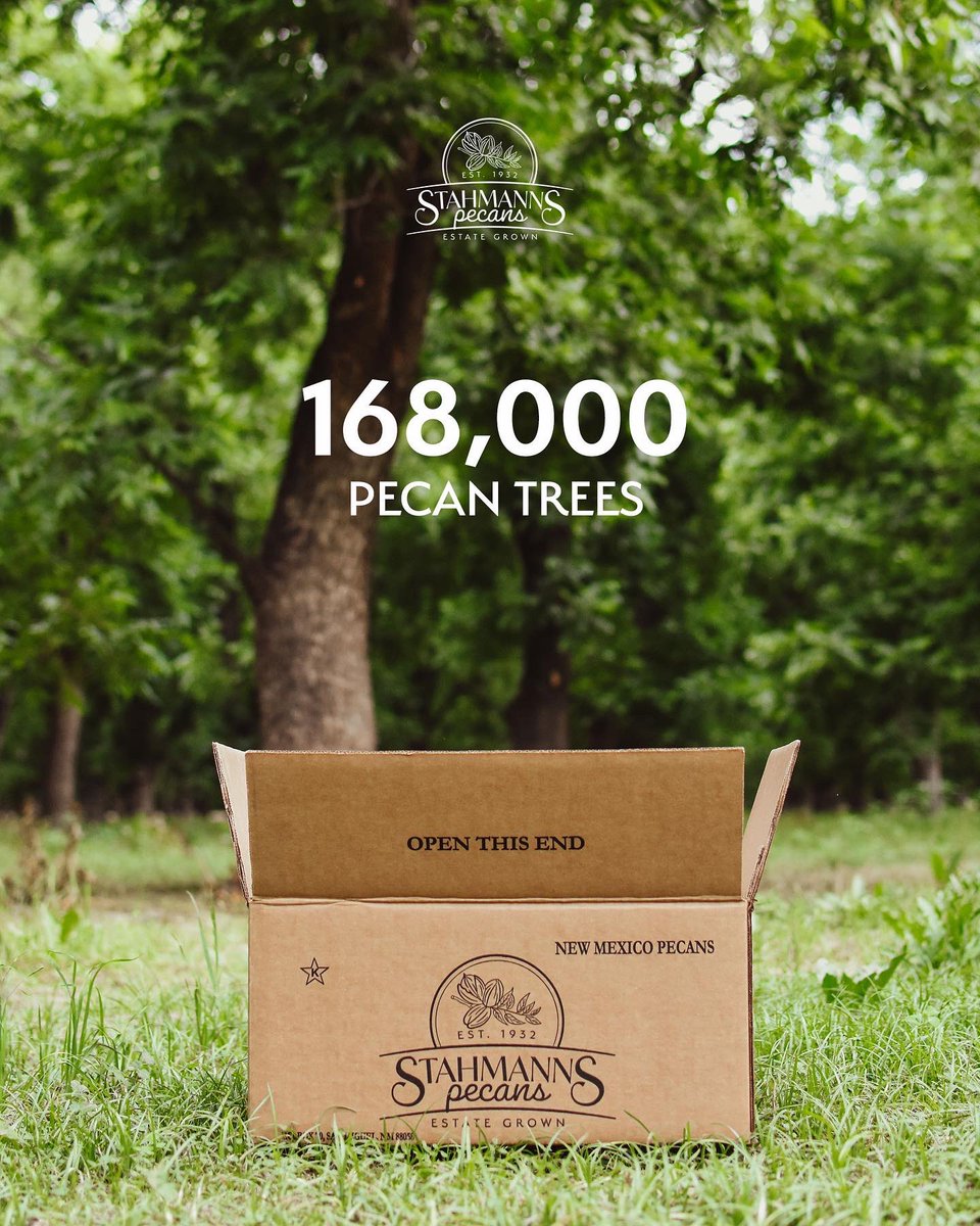 stahmanns's tweet photo. 90 years of growth. 3,200 acres of land. 168,000 pecan trees. And 8 to 9 million pounds of estate-grown pecans produced each year. 🌳🌿💚

Our farm is one special place, and we’d love to share its goodness with you all.

To learn more, visit:
🔗 https://t.co/YaQELVBCqj https://t.co/lEixkEfBq7