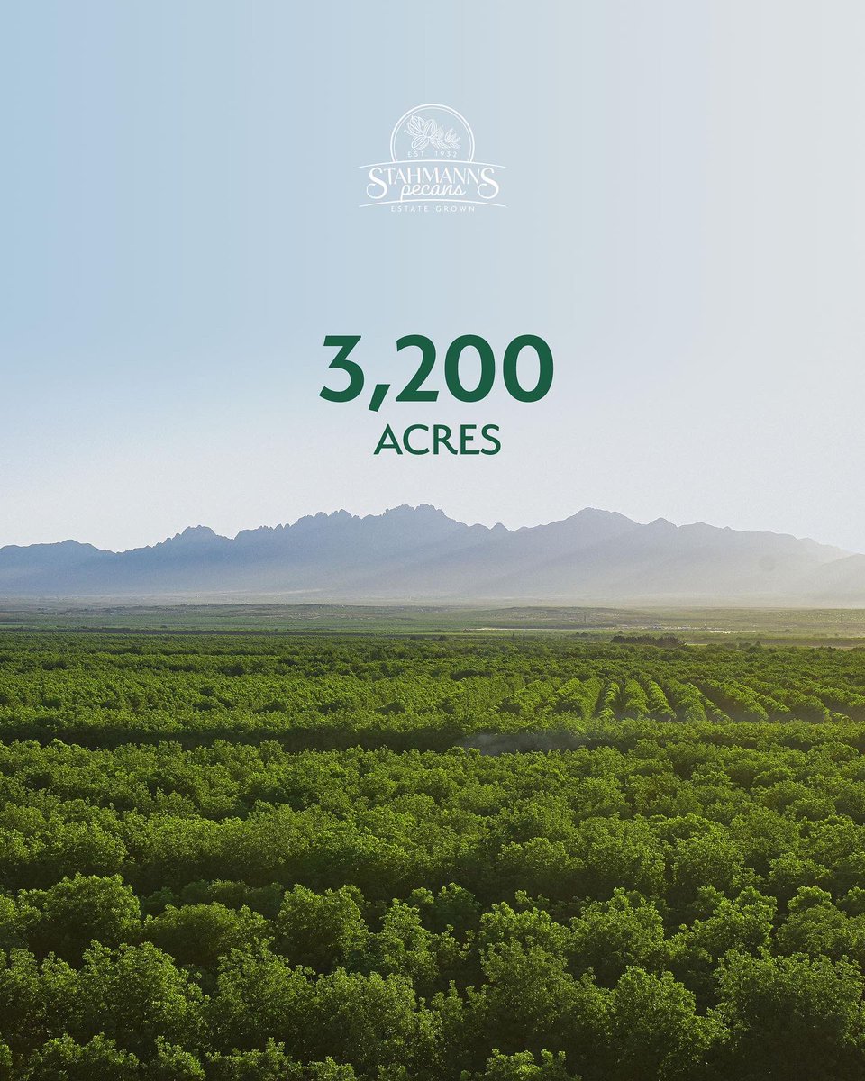 stahmanns's tweet photo. 90 years of growth. 3,200 acres of land. 168,000 pecan trees. And 8 to 9 million pounds of estate-grown pecans produced each year. 🌳🌿💚

Our farm is one special place, and we’d love to share its goodness with you all.

To learn more, visit:
🔗 https://t.co/YaQELVBCqj https://t.co/lEixkEfBq7