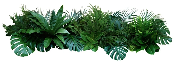 AndGenomics's tweet photo. Latest developments in #PlantGenomics
https://t.co/UoXMTEmxGD
#PlantSci #Genomics #Bioinformatics #FascinationOfPlantsDay #DNADay22 #AcademicChatter #ScienceTwitter #ReTweet #OpenScience #WomenInSTEM #OpenAccess #WomenInScience #WomenWhoCode #100DaysOfCode #DataScience #PhDchat https://t.co/1wUej1FLVi