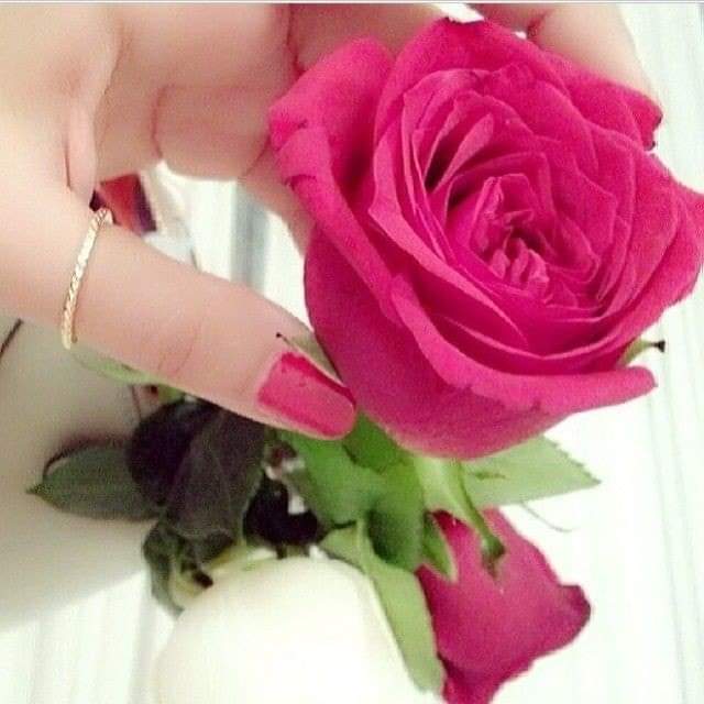 صباح الورد لعيونكم