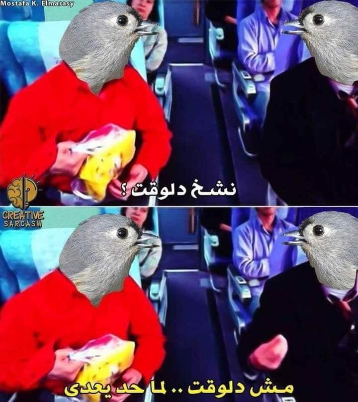 hady135996's tweet photo. 😂😂 https://t.co/BleKiVvReP