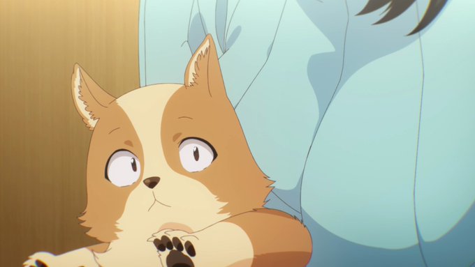 Tvアニメ 犬になったら好きな人に拾われた 公式サイト