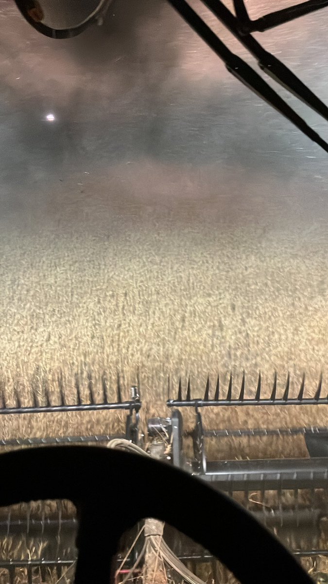 DNRieger's tweet photo. Not sure why, but I prefer combining in the dark. A lot more peaceful for this guy. #Harvest22 #OntoSpringWheat #WCSK https://t.co/BFjABgSc8W