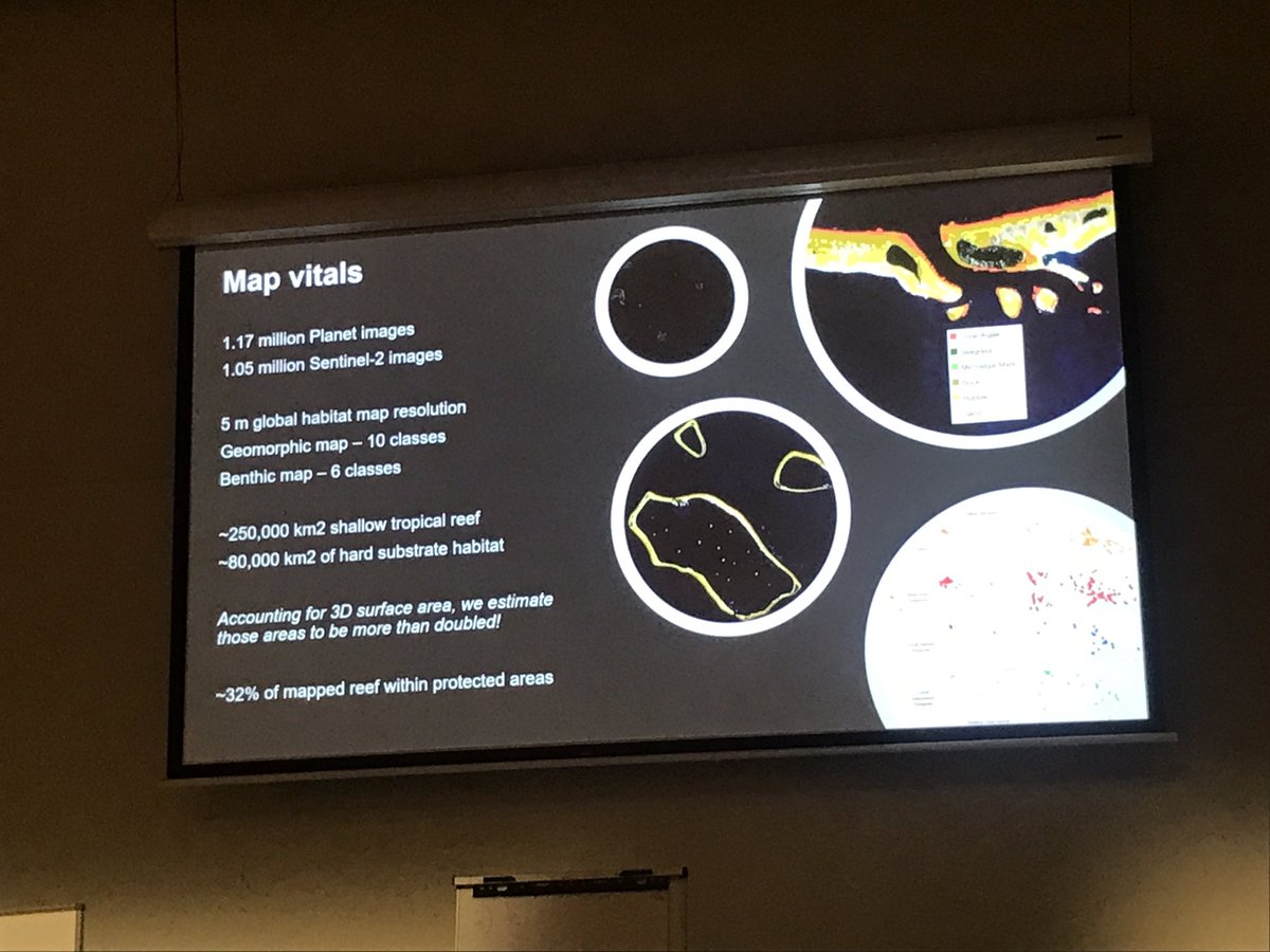 Terri Freemantle tweet media