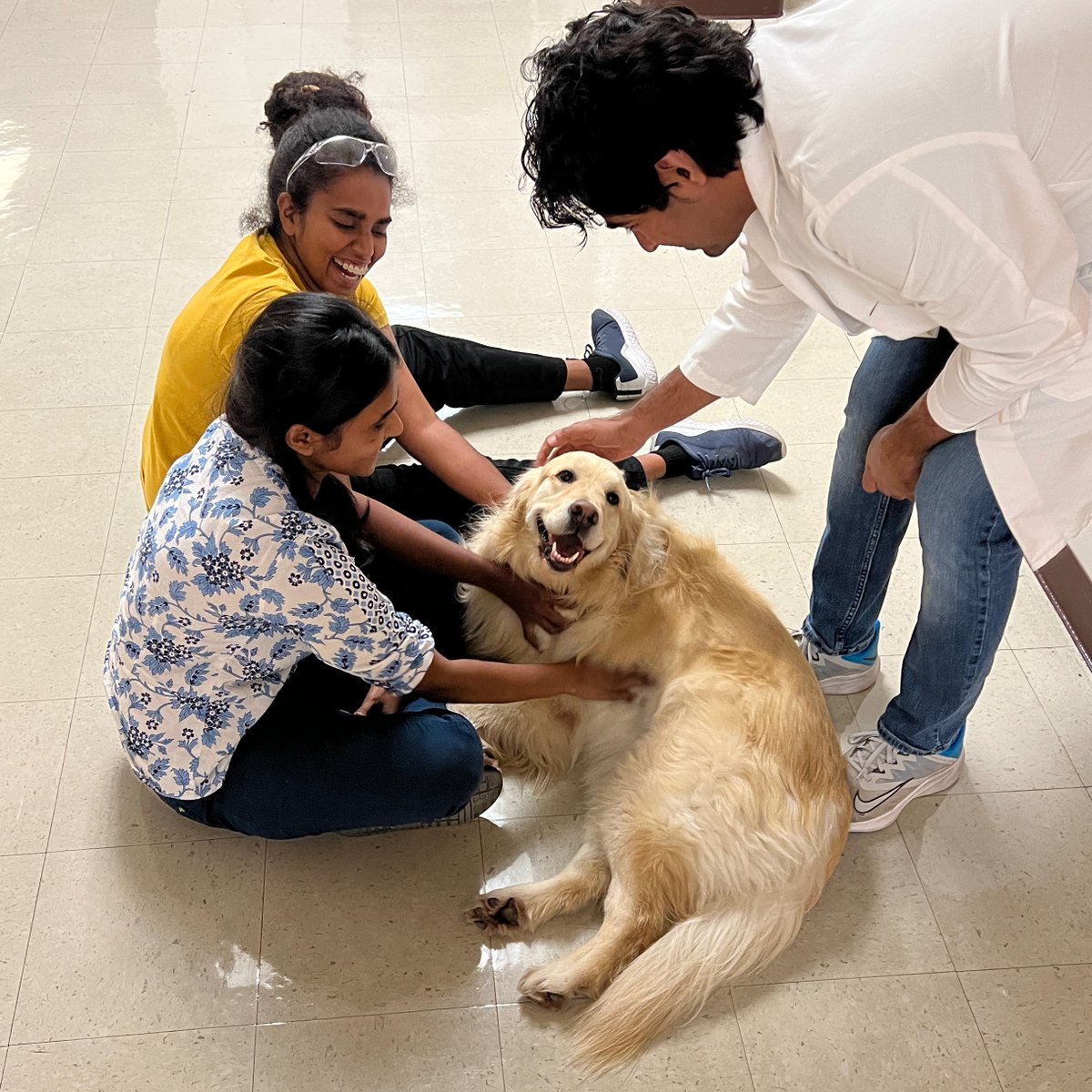 RaffertyLab's tweet photo. Too much time since my last tweet. First week of classes. My pup Posey made a surprised visit to the lab, who enjoyed the trip more? #Firstweekofclasses #dogsrock https://t.co/lo1gQSSF0D